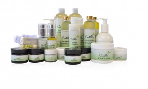 Centella-Group-Shot-pb-web